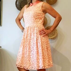 Betsey Johnson Peter Pan Vollar Dress